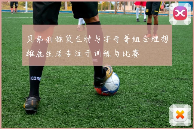贝弗利称莫兰特与字母哥组合理想雄鹿生活专注于训练与比赛