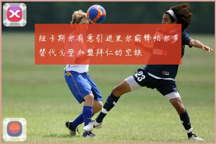纽卡斯尔有意引进里尔前锋帕尔多替代戈登加盟拜仁的空缺